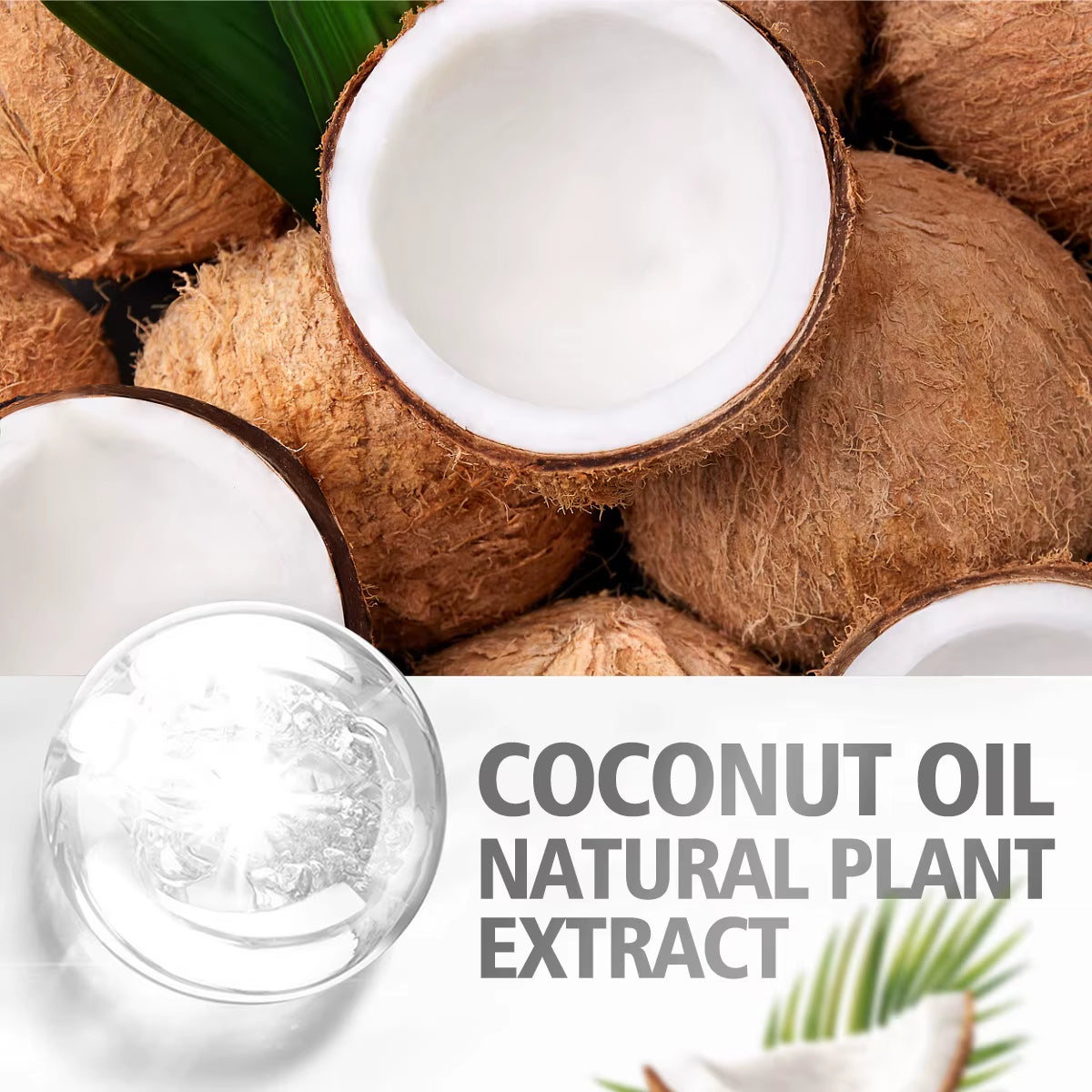 Coconut Essential Oil Suitable for Massage Scraping Aromatherapy Diffuser for Face Hair Eyelash Care Universal Essential Oil